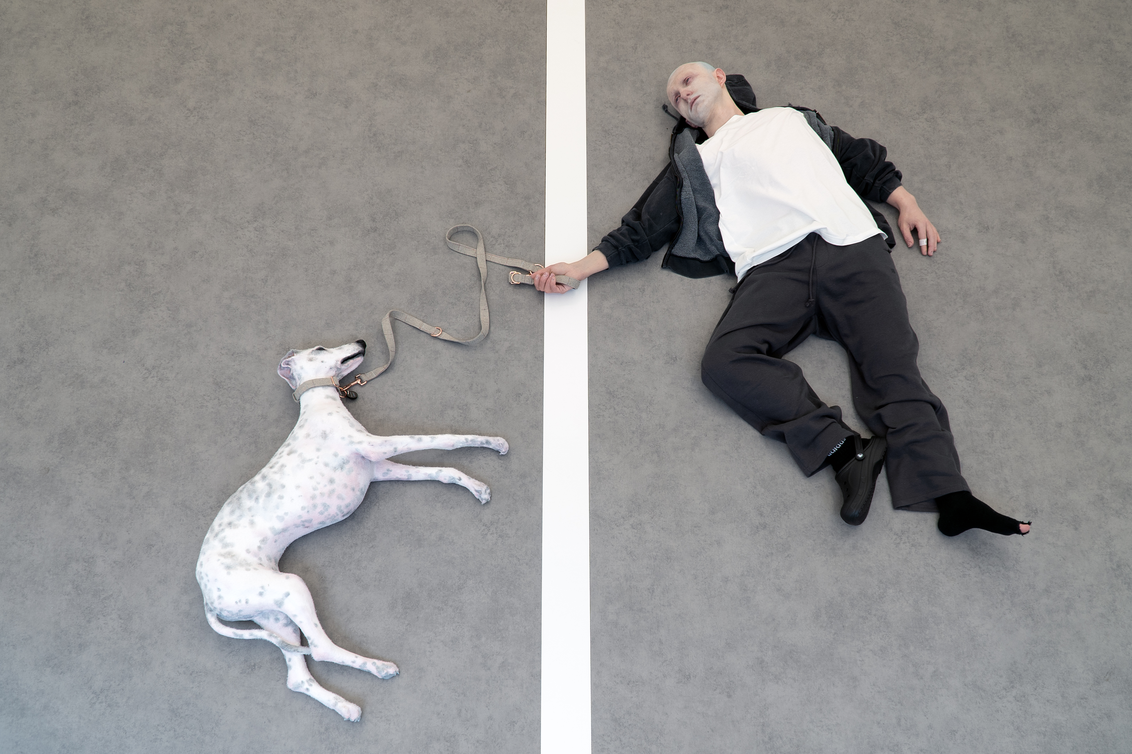 Monsieur Grat's dream